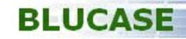 logo Partner  Blucase